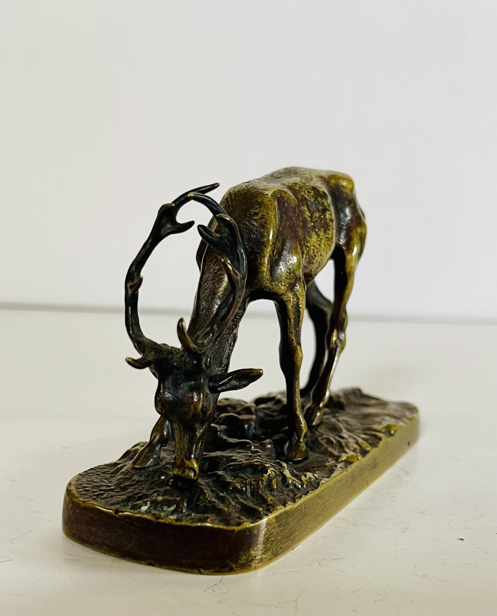 Bronze Stag-photo-1